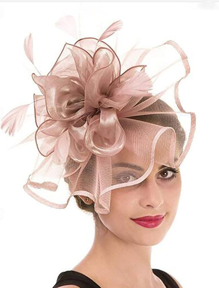 Retro Fascinator Tea Party Ladies Day Feather Minimalist Headpiece/Veil Hat